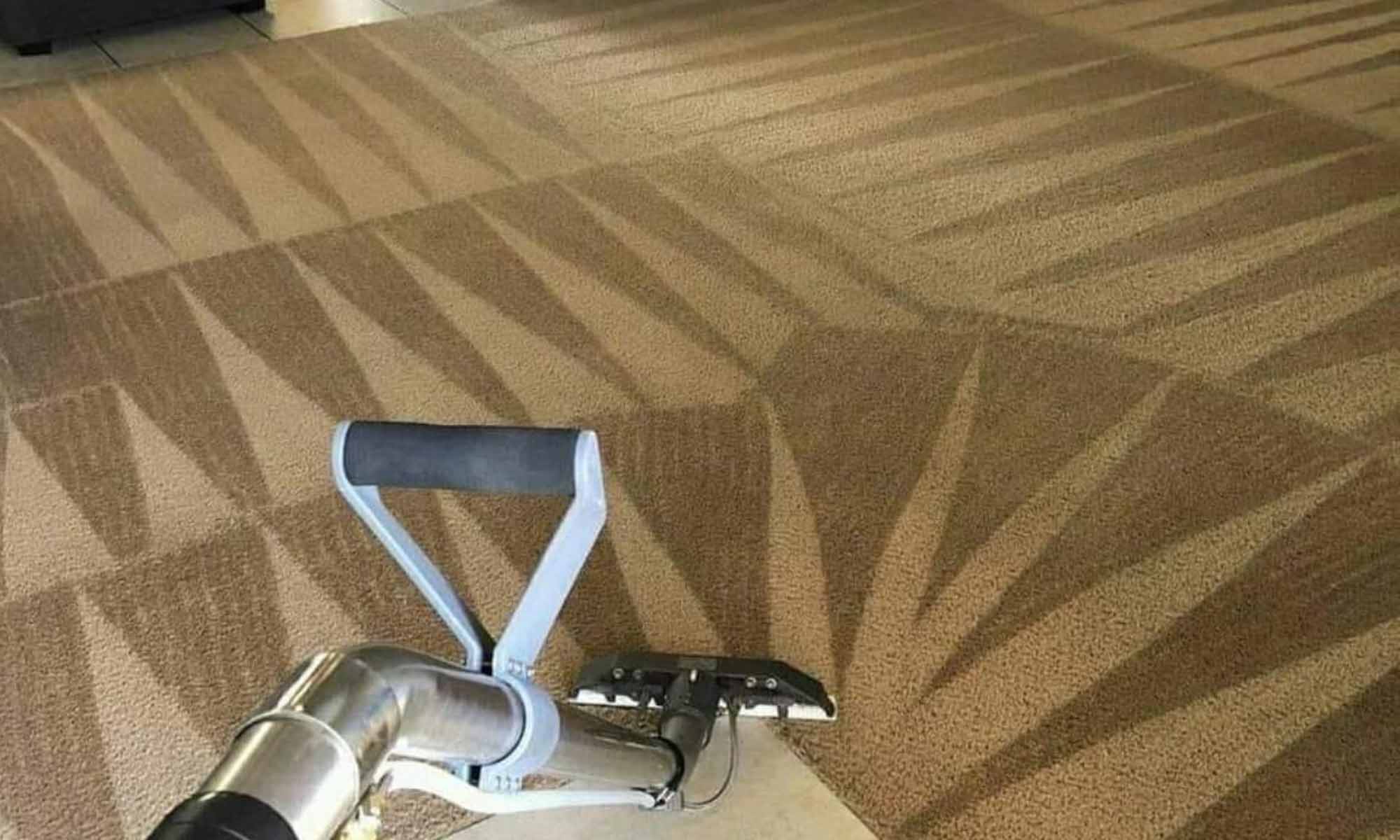 Star City Carpet Clean - professional carpet cleaning in El Paso